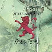 Il testo SOLIDARITY degli ENTER SHIKARI è presente anche nell'album Common dreads (2009)
