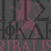 Il testo WALL - HIGH CONTRAST REMIX degli ENTER SHIKARI è presente anche nell'album Tribalism (2011)