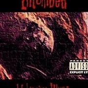 Il testo BLOODSONG degli ENTOMBED è presente anche nell'album Wolverine blues (1993)