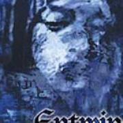 Il testo THY GUIDING LIGHT degli ENTWINE è presente anche nell'album The treasures within hearts (1999)