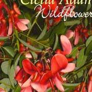 Il testo MY MOTHERS WEDDING BAND di CLELIA ADAMS è presente anche nell'album Wildflowers (2008)