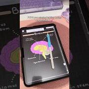 Digital notes