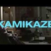 Il testo THE PARADE OF THE PINK EPROMS di ERIC SERRA è presente anche nell'album Kamikaze (1986)