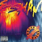 Il testo 1987 di ESHAM è presente anche nell'album Bruce wayne: gotham city 1987 (1997)