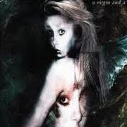 Il testo THE LAST ONE FOR LIFE degli ETERNAL TEARS OF SORROW è presente anche nell'album A virgin and a whore (2001)