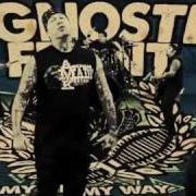 Il testo EMPTY DREAMS degli AGNOSTIC FRONT è presente anche nell'album My life my way (2011)