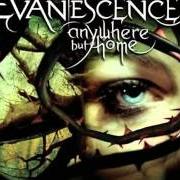 Il testo BRING ME TO LIFE degli EVANESCENCE è presente anche nell'album Anywhere but home (2004)