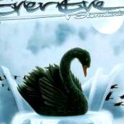 Il testo FIELDS OF ASHES degli EVEREVE è presente anche nell'album Stormbirds (1997)