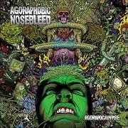 Il testo WHITE ON WHITE CRIME degli AGORAPHOBIC NOSEBLEED è presente anche nell'album Agorapocalypse (2009)