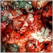 Il testo SEPTICEMIA (FESTERING SPHINCTRAL MALIGNANCY PART II) degli EXHUMED è presente anche nell'album In the name of gore (1996)