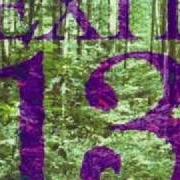 Il testo SHATTNERSPACKLE degli EXIT-13 è presente anche nell'album Don't spare the green love (1993)