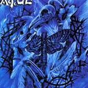 Il testo THE PRODIGAL SON degli EXTOL è presente anche nell'album Mesmerized (1999)