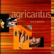 Il testo TENERE degli AGRICANTUS è presente anche nell'album Best of agricantus (1999)