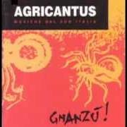 Il testo SPUNTA LU SULI degli AGRICANTUS è presente anche nell'album Gnanzù