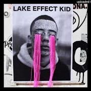 Il testo CITY IN A GARDEN dei FALL OUT BOY è presente anche nell'album Lake effect kid (2018)