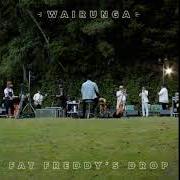 Il testo COFFEE BLACK dei FAT FREDDY'S DROP è presente anche nell'album Wairunga (2021)
