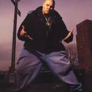 Il testo SHORTY GOTTA FAT ASS di FAT JOE è presente anche nell'album Represent (1993)