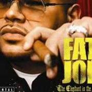 Il testo GET IT FOR LIFE di FAT JOE è presente anche nell'album The elephant in the room (2008)