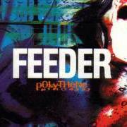 Il testo CHANGE dei FEEDER è presente anche nell'album Polythene (1997)