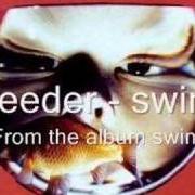 Il testo SWIM dei FEEDER è presente anche nell'album Swim (1996)