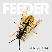 Il testo ANOTHER DAY ON EARTH dei FEEDER è presente anche nell'album All bright electric (2016)