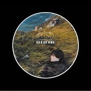 Il testo MUSHABOOM di FEIST è presente anche nell'album Let it die (2004)