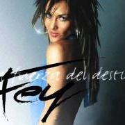 Il testo ME COLE EN UNA FIESTA di FEY è presente anche nell'album La fuerza del destino (2004)
