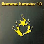 Il testo MIXEDBLOOD dei FIAMMA FUMANA è presente anche nell'album Home (2004)