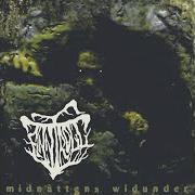 Il testo SVAMPFEST dei FINNTROLL è presente anche nell'album Midnattens widunder (1999)