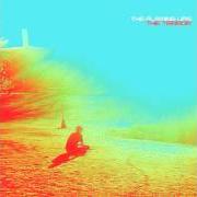 Il testo WHAT DOES IT MEAN? dei THE FLAMING LIPS è presente anche nell'album Embryonic (2009)