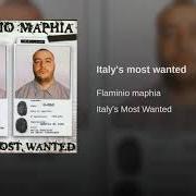 Il testo ...LA GABBIA dei FLAMINIO MAPHIA è presente anche nell'album Italy's most wanted (1998)