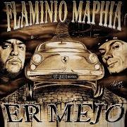 Il testo RAGAZZE ACIDELLE dei FLAMINIO MAPHIA è presente anche nell'album Er mejo (2010)