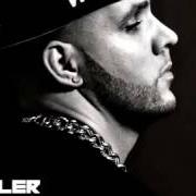 Il testo CITY BOY di FLER è presente anche nell'album Blaues blut (2013)