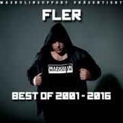 Il testo MEINE STRASSE di FLER è presente anche nell'album Fler (2009)