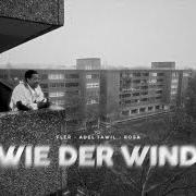 Il testo WIE ICH BIN di FLER è presente anche nell'album Wie der wind (2023)