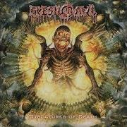 Il testo NOTHING BUT FLESH REMAINS dei FLESHCRAWL è presente anche nell'album Structures of death (2007)