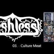 Il testo A ROADKILL RECIPE dei FLESHLESS è presente anche nell'album Nice to eat you (2001)