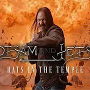 Il testo HER BLOOD YOUR PAIN dei FLOTSAM & JETSAM è presente anche nell'album Rats in the temple (2026)