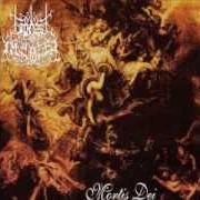 Il testo MYSTIC SIGHT OF THE INFERNAL HORDE dei FOREST OF IMPALED è presente anche nell'album Mortis dei (1995)