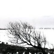Il testo DEPRIVED dei FOREST OF SHADOWS è presente anche nell'album Six waves of woe (2008)