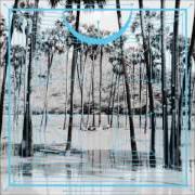 Il testo 128 HARPS di FOUR TET è presente anche nell'album Pink (2012)