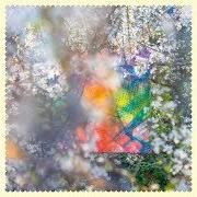 Il testo TEENAGE BIRDSONG di FOUR TET è presente anche nell'album Sixteen oceans (2020)