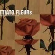 Fleurs 3