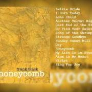 Il testo GO FIND YOUR SAINT di FRANK BLACK è presente anche nell'album Honeycomb (2005)