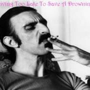 Il testo TEEN-AGE PROSTITUTE di FRANK ZAPPA è presente anche nell'album Ship arriving to late to save a drowning witch (1982)