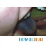 Il testo SUMMER BOY dei FREEZEPOP è presente anche nell'album Forever (2001)