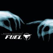 Il testo DAYS WITH YOU dei FUEL è presente anche nell'album Natural selection (2003)