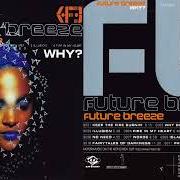 Il testo FEEL dei FUTURE BREEZE è presente anche nell'album Why? (1996)