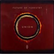 Il testo OPEN WIDE dei FUTURE OF FORESTRY è presente anche nell'album Future of forestry (2006)