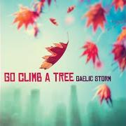 Go climb a tree